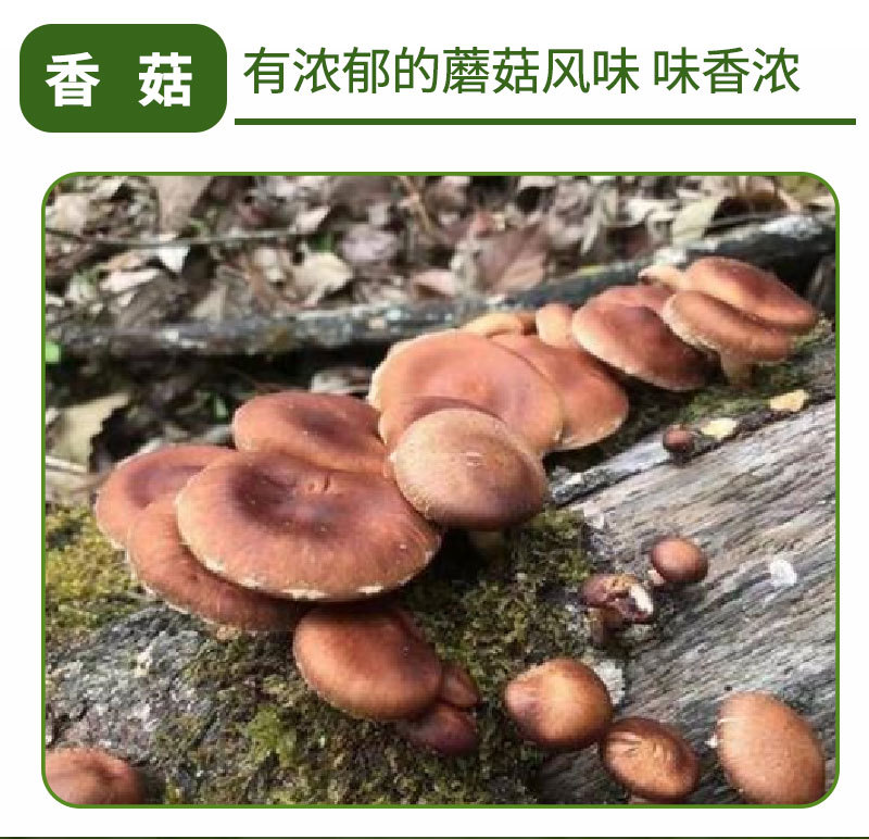 详情页_12.jpg
