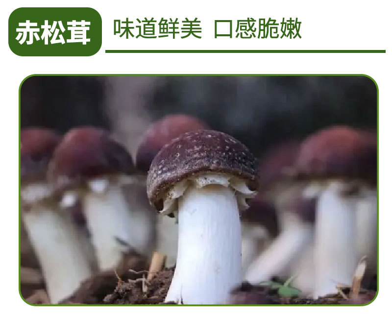 详情页_08.jpg