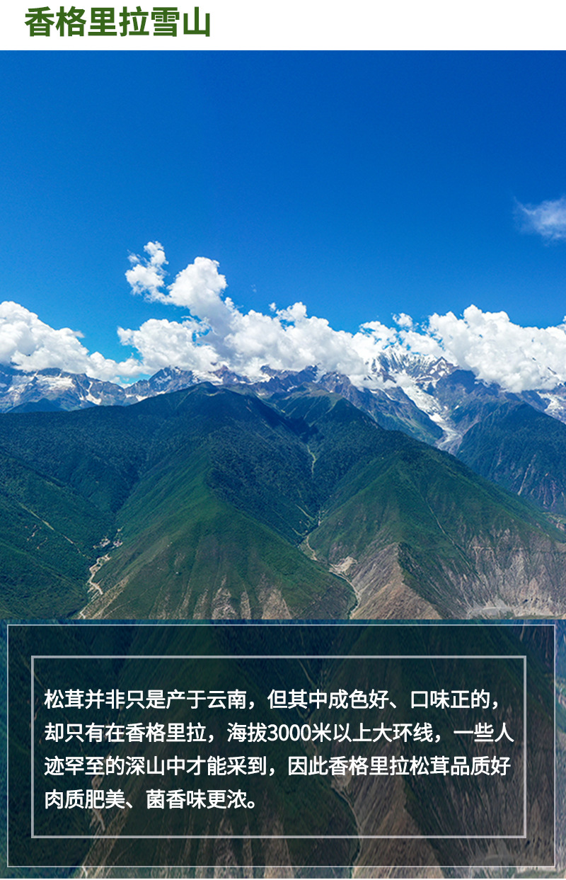 详情页_04.jpg