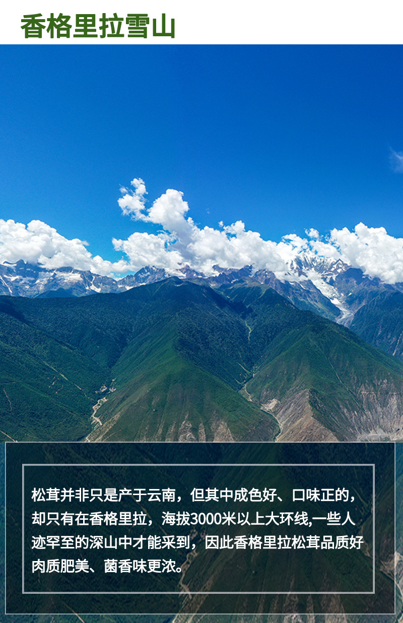 详情页_04.jpg