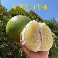 泰国青柚水嫩脆甜进口热带新鲜孕妇水果青皮白心小柚子安帕瓦蜜柚 3件起购