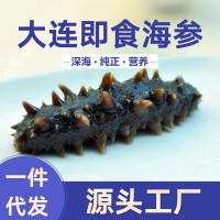 一手货源大连辽刺身高压即食海参板冻系列15头批发酒店佛跳墙从德 3包起批