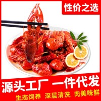 湖北4-6钱麻辣十三香小龙虾熟食加热即食香800g/袋装熟虾批发 5盒起批