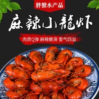 批发供应麻辣小龙虾 龙虾尾即食 休闲麻辣零食熟食小吃食品 2盒起批