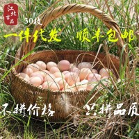 【30枚装土鸡蛋】苏北农村土鸡蛋新鲜柴笨草鸡蛋专业中通一件代发 2盒起批