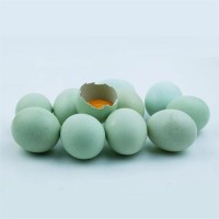 中通包邮【30枚】苏北农村散养绿壳乌鸡蛋柴鸡蛋土鸡蛋一件代发 2盒起批