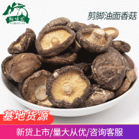 剪脚油面香菇散装250g肉质厚实煲汤食材 厂家批发土特产 香菇干货