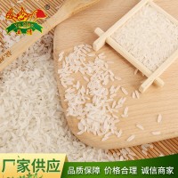 厂家批发天下一塘牌香米 农家基地批发大量大米5KG/10KG 精诚食品