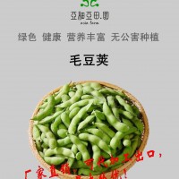 速冻毛豆台湾枝豆;出口冷冻蔬菜;价格面议;批发加工工厂