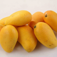 芒果新鲜水果金煌芒产地直发时令水果