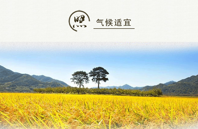 list_05.gif