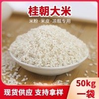 桂朝大米糕米线肠粉米线专用大米早稻米豆腐贵朝米商用大米50kg装
