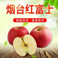 【全年供应】烟台红富士代发3/5斤新鲜应季脆甜多汁丘陵苹果