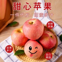 2022年苹果新鲜脆甜烟台栖霞水果苹果红富士当季平果整箱包邮5斤