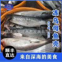 乌母鱼壳厂家批发10kg/件