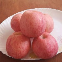 爱山东烟台红富士苹果脆甜可口净5斤85以上条纹红美丽新鲜大苹果