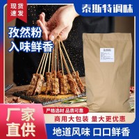 孜然粉烧烤撒料烧烤小吃炸串调味香料家用厂家现货供应袋装孜然粉