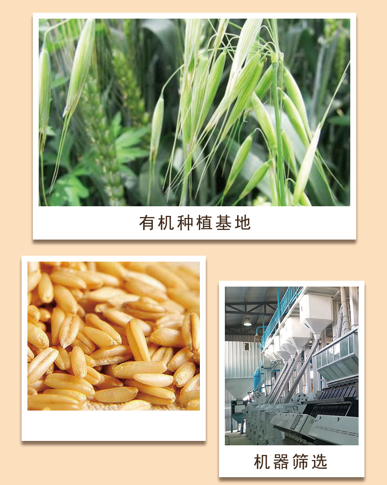 莜面燕麦面
