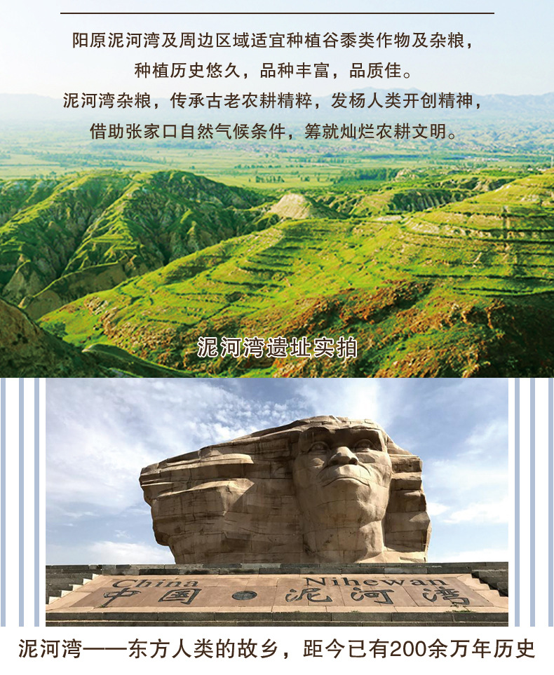 莜面燕麦面