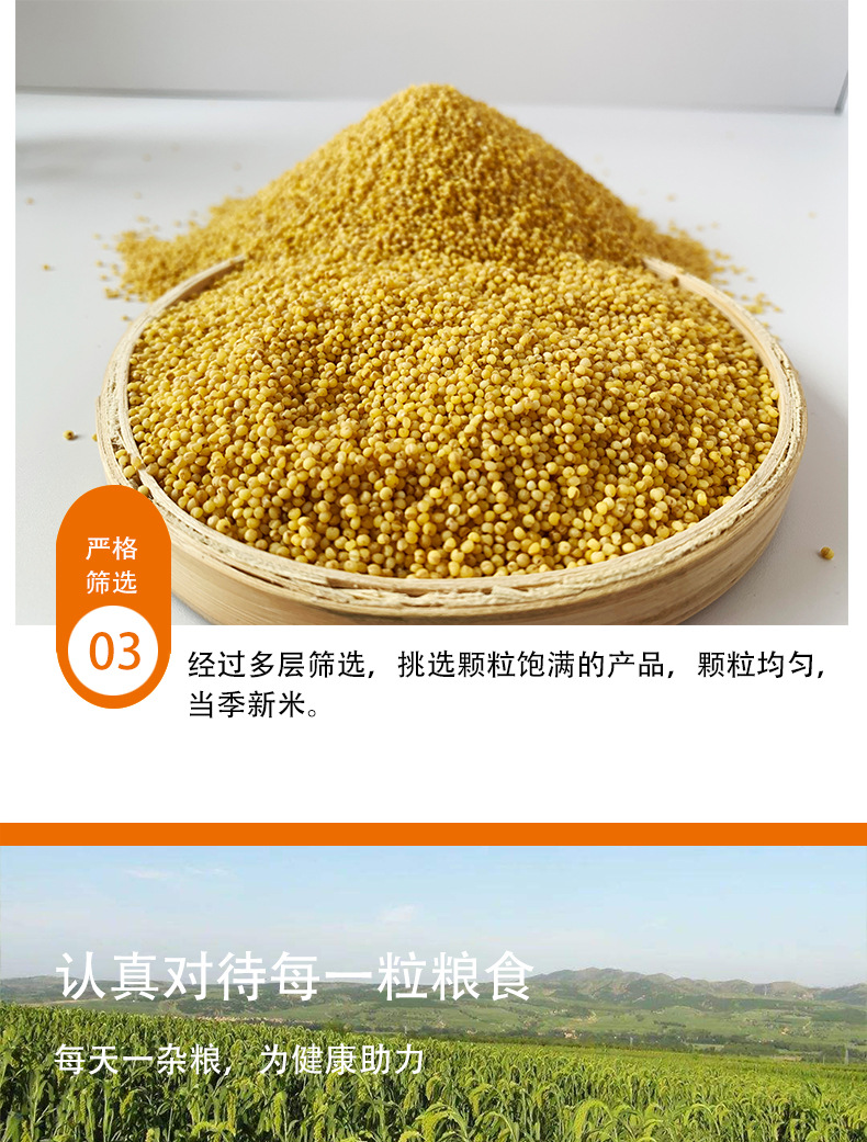 贡小米详情中文_03