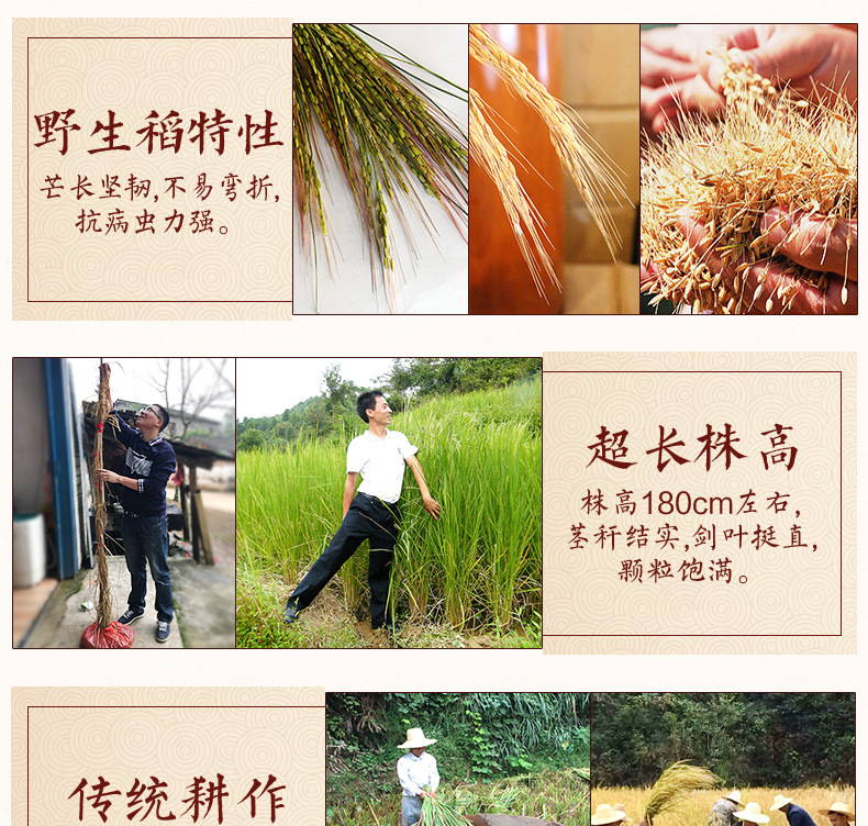 万年贡米5kg_07.jpg
