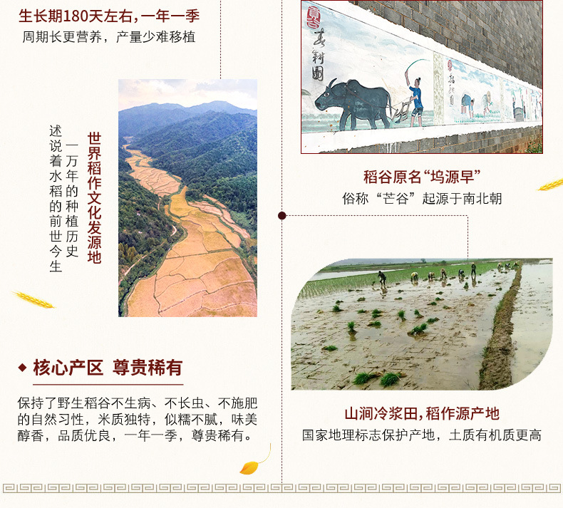万年贡米5kg_06.jpg