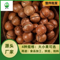 云南夏威夷果原味散装每日坚果网红孕妇休闲零食新货干果批发整箱