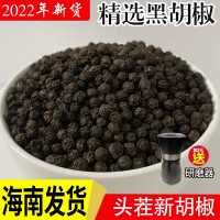 正宗海南黑胡椒颗粒散装当季新品500g调味料农场直供批发