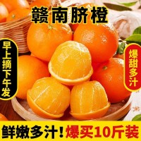正宗江西赣南脐橙橙子10斤新鲜水果当季整箱赣州产地直发挤橙