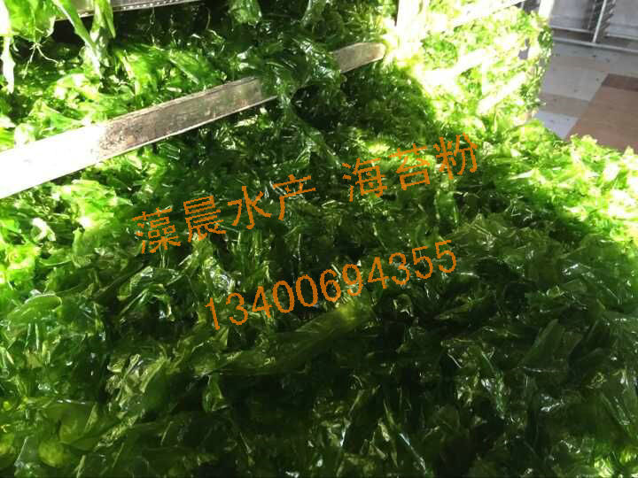 青海苔 各种规格加工定制