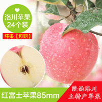 陕西洛川苹果24枚85 洛川苹果 产地直发应季新鲜水果脆甜可口