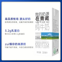 光明小西牛 青海纯牛奶利乐砖高原奶新鲜牛奶量贩装250ml*20