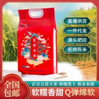 五常大米批发5KG长粒香米10斤装大米东北大米农产品大米批发