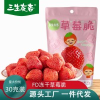 冻干草莓工厂批发雪花酥牛轧糖烘培原料水果干草莓冻干休闲零食
