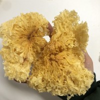 包邮检测无熏硫银耳切块 白木耳花白干耳 古田餐饮店白木耳500g