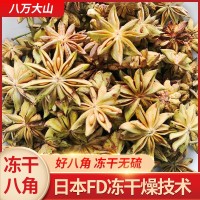 八角冻干八角大红八角八角茴香广西大红八角工厂现货500g 八角