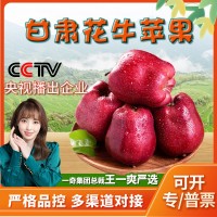 顺丰甘肃天水花牛苹果 代发3/9斤新鲜应季水果粉面红蛇果礼盒