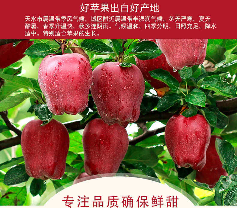 替换花牛3_09.jpg