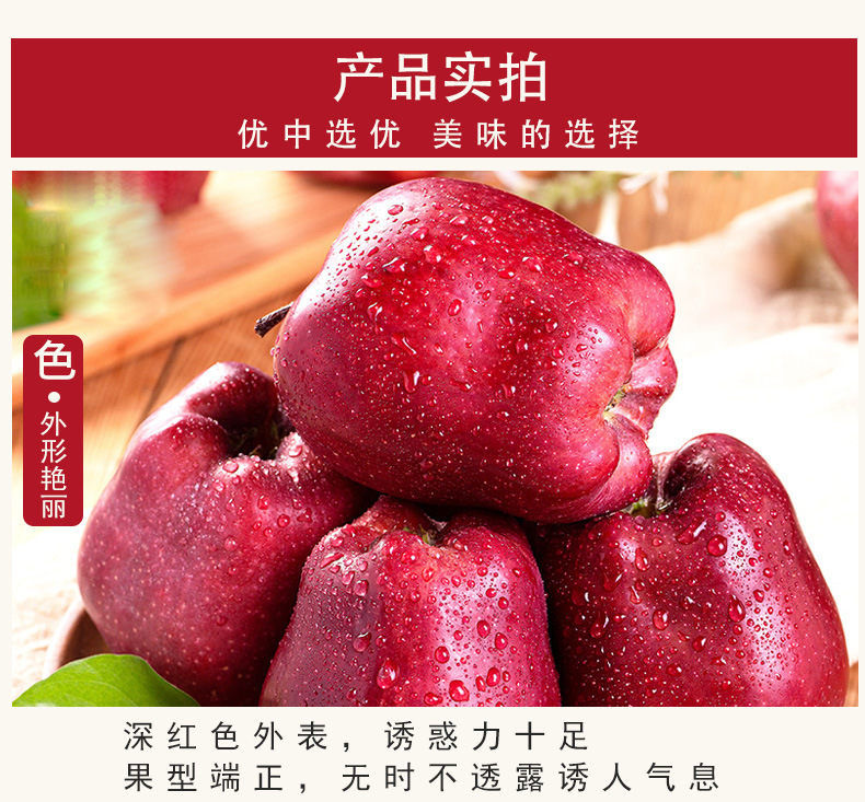 替换花牛3_05.jpg