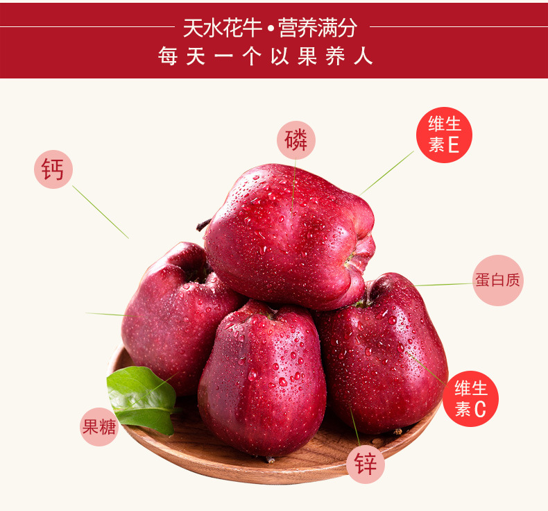 替换花牛3_08.jpg
