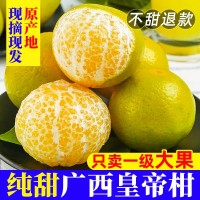 纯甜广西皇帝柑新鲜橘子现摘3-9斤一级品质大果当季水果一件代发