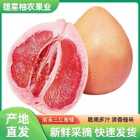 正宗福建平和琯溪三红蜜柚 红心柚子水果应季新鲜红肉蜜柚