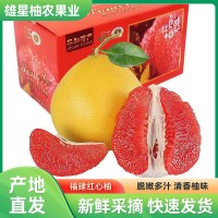 正宗福建平和琯溪红肉蜜柚 应季新鲜水果红心柚 应季蜜柚水果