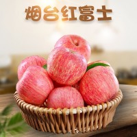 山东烟台红富士苹果代发新鲜水果当季产地整箱批发栖霞冰糖心