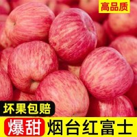 山东烟台红富士苹果新鲜水果产地批发脆甜可口正宗红富士苹果水果