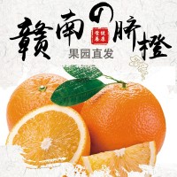 【精品】正宗赣南脐橙新鲜赣州橙子江西甜橙水果果冻鲜橙批发包邮