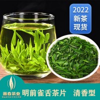 雀舌茶片2023新茶明前茶春茶湄潭翠芽贵州高山云雾雀舌碎茶片批发