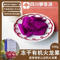 冻干水果FD冻干有机火龙果批发干厂家直发儿童辅食孕妇零食无添加