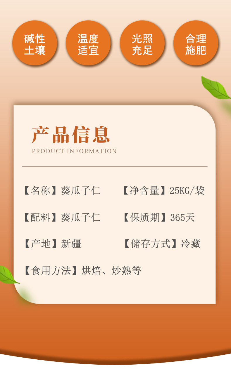 葵瓜子22.jpg