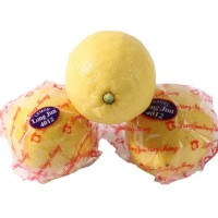 四川安岳黄柠檬新鲜独立包装现摘饮品店原料当季水果鲜水果中果